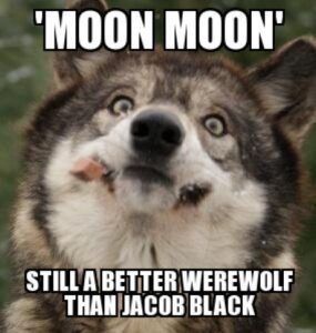 Fun MoonMoon Wolf