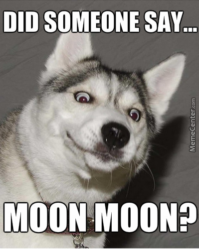 MoonMoon Meme Coin