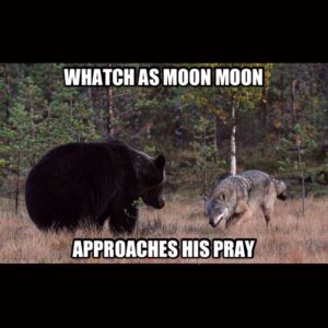 MoonMoon Wolf Kills the Bear